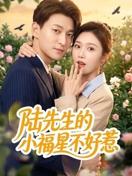陆先生的小福星不好惹